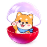 首頁