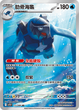 肋骨海龜