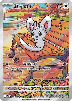 泡沫栗鼠