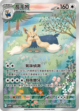 長毛狗