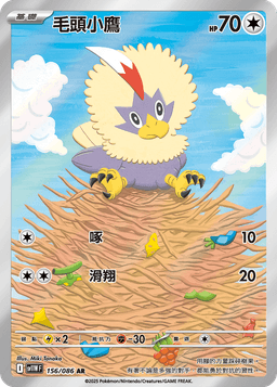 毛頭小鷹