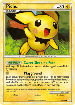 皮丘