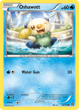 水水獺