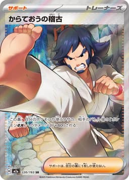 空手道王的演練